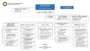 pcso organizational chart|Philippine Charity Sweepstakes Office Annual Audit Report 2021.